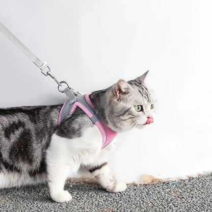 Adjustable Cat & Dog Harness Leash