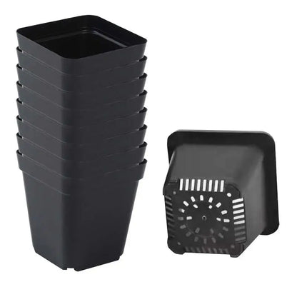 50pcs Square Plastic Planting Cups
