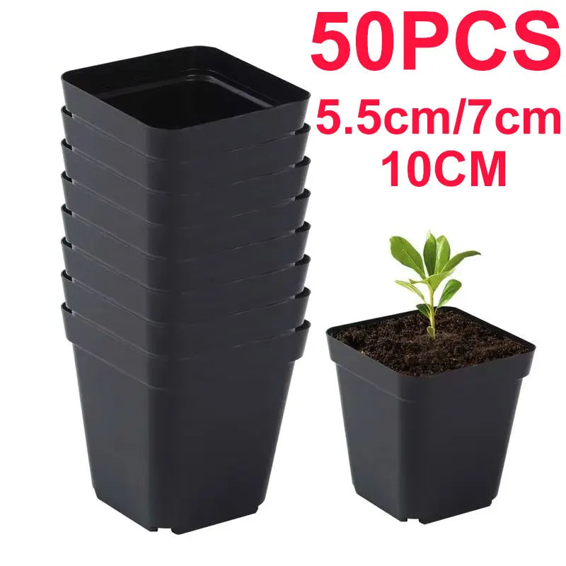 50pcs Square Plastic Planting Cups