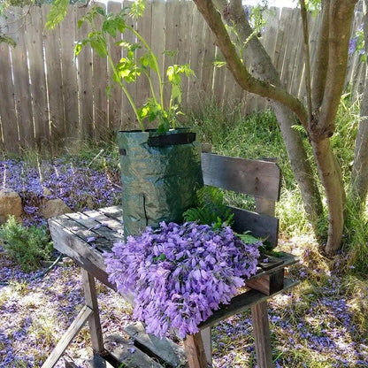 Greenhouse Plant Grow Bag Accessories