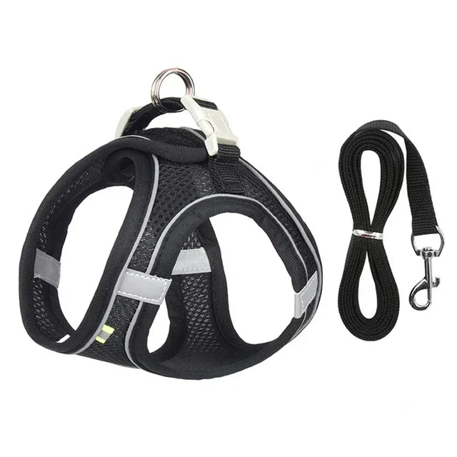 Adjustable Cat & Dog Harness Leash