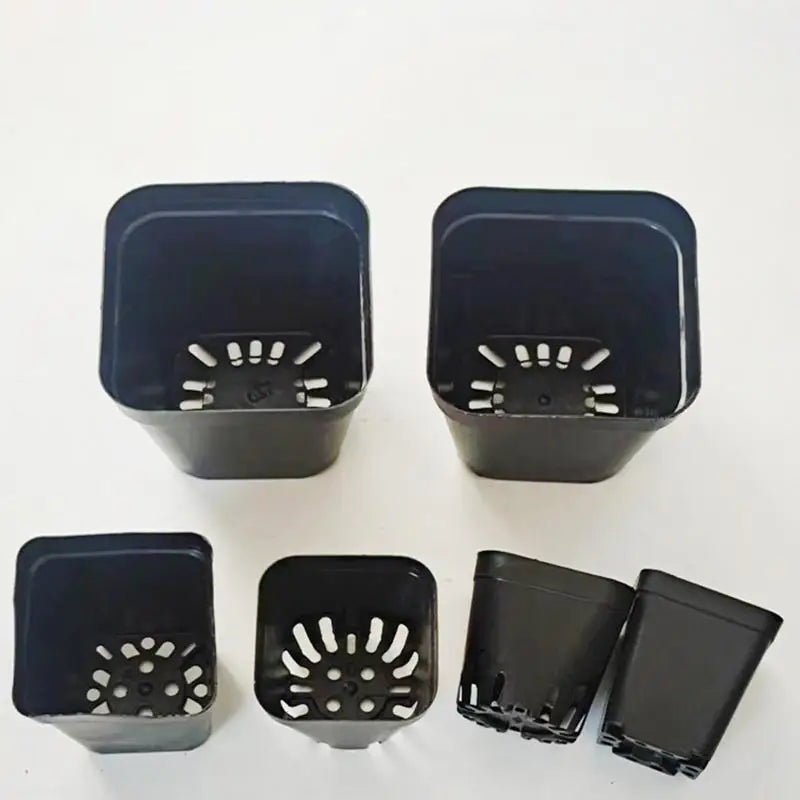 50pcs Square Plastic Planting Cups