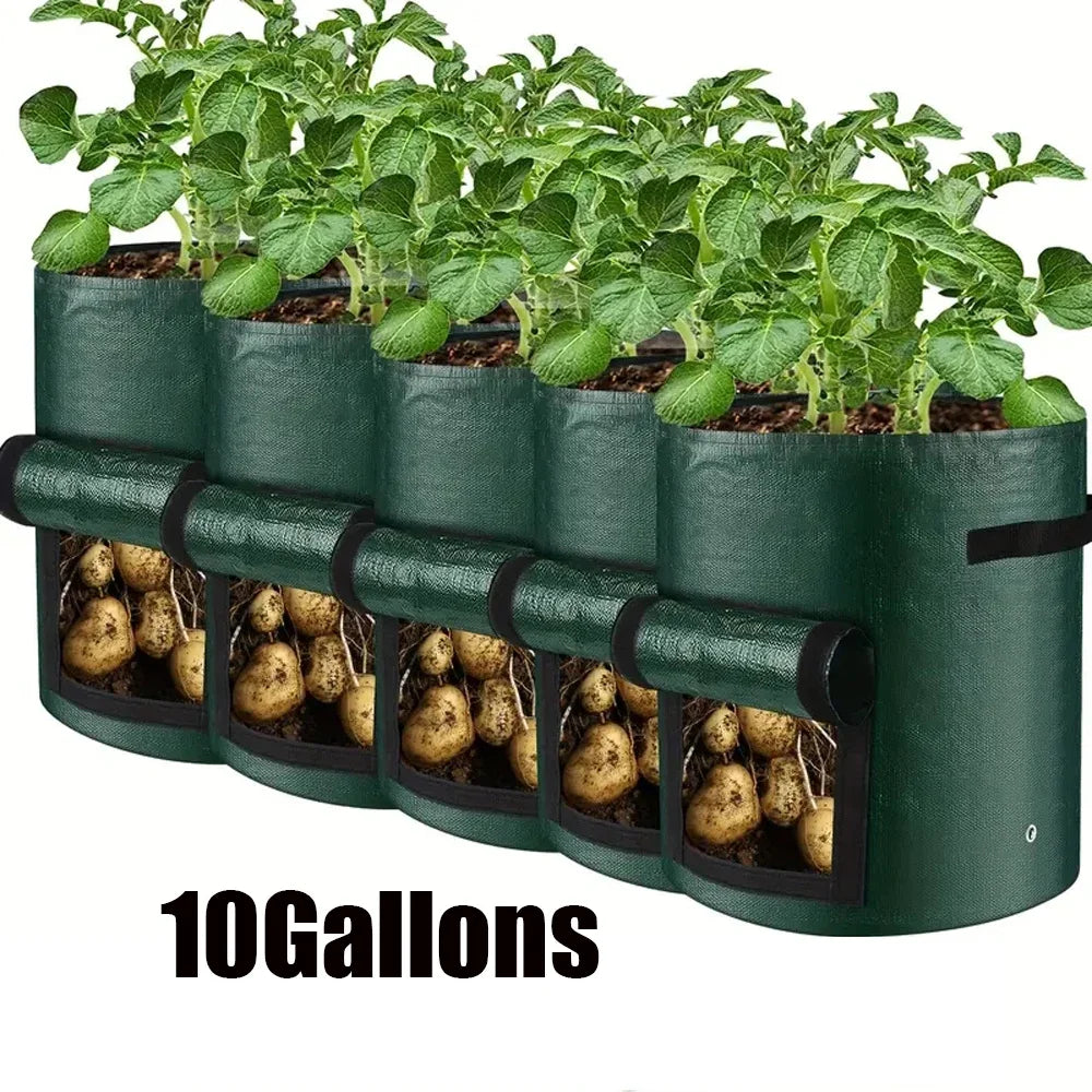 5pcs Vegetable Plant Grow Bags