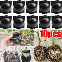 10pcs Plant Rooting Propagation Balls