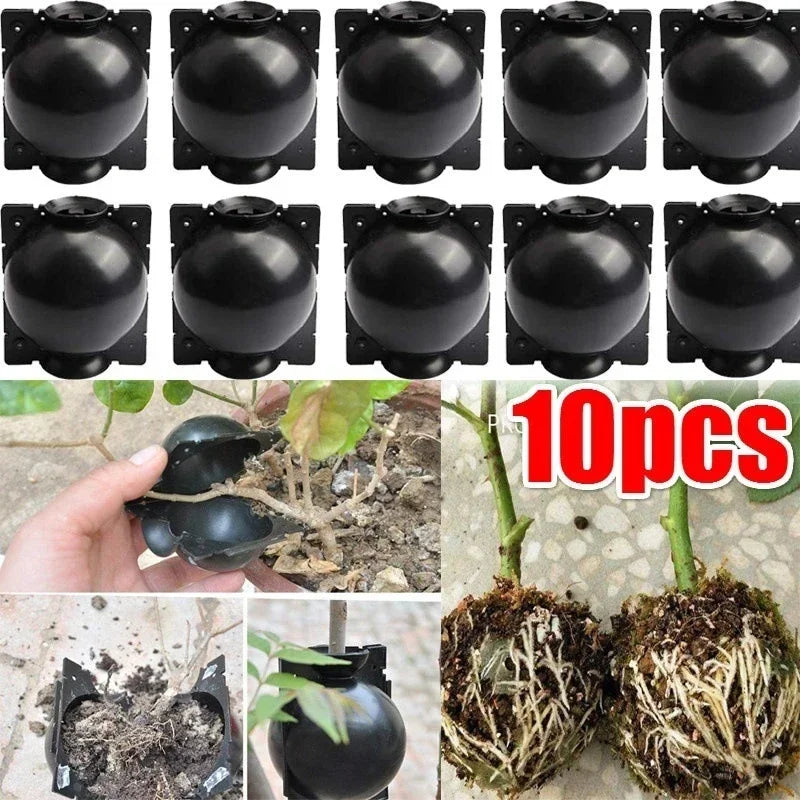 10pcs Plant Rooting Propagation Balls