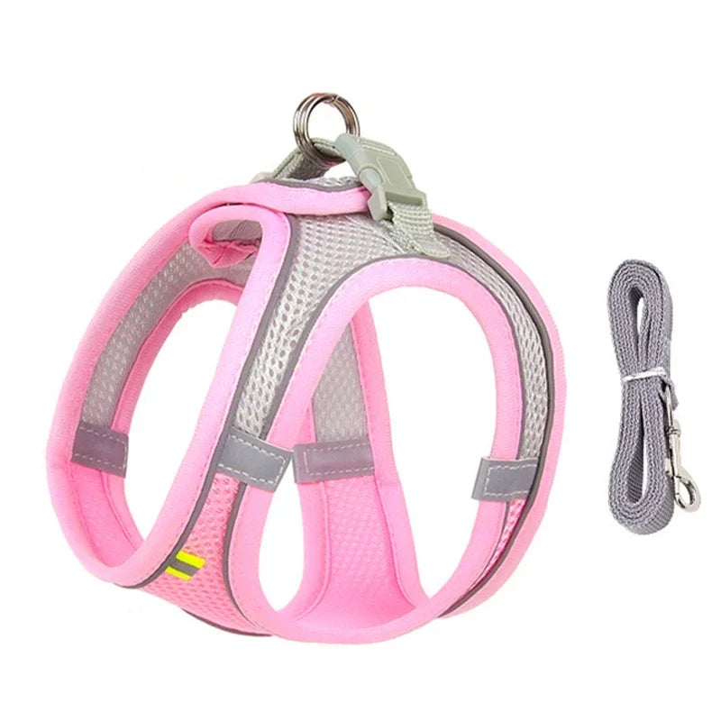 Adjustable Cat & Dog Harness Leash