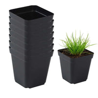 50pcs Square Plastic Planting Cups