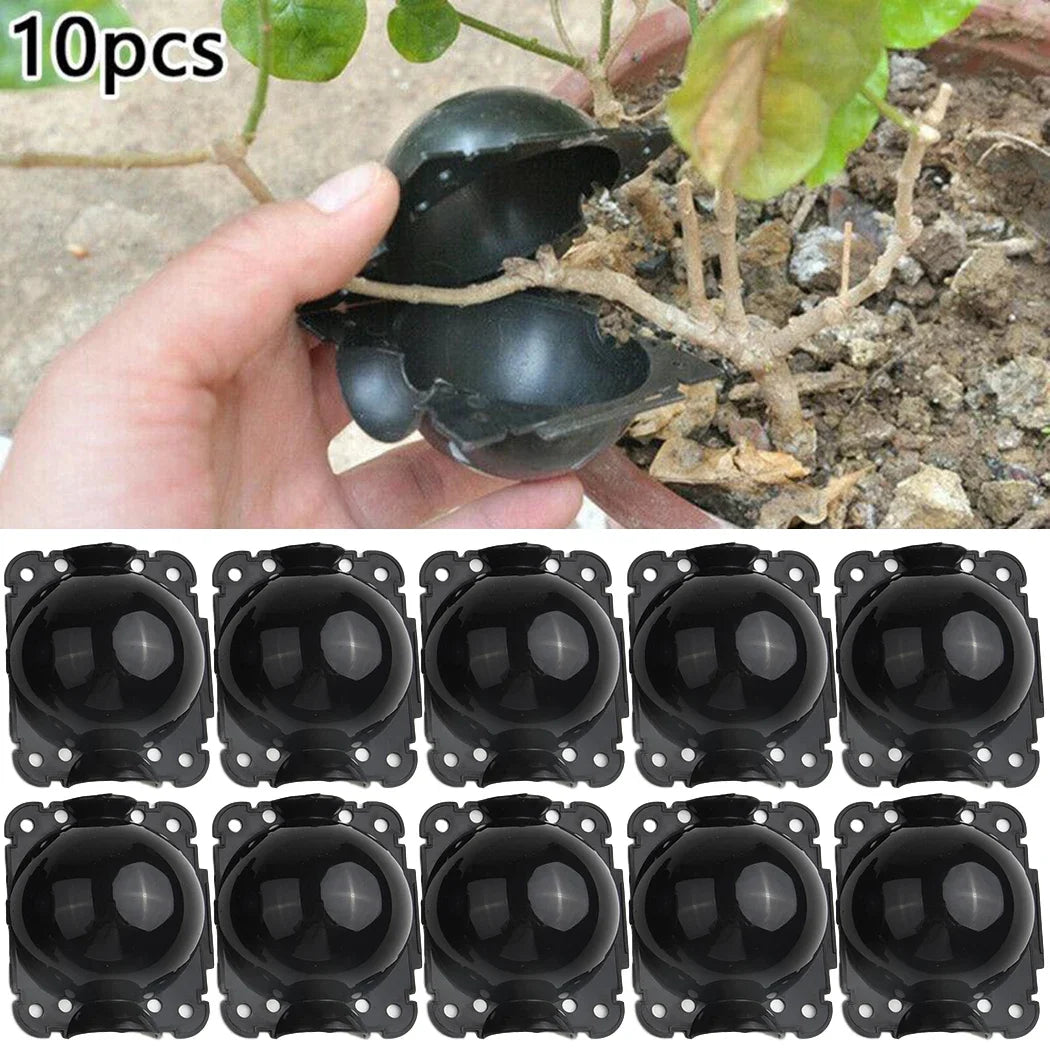 10pcs Plant Rooting Propagation Balls
