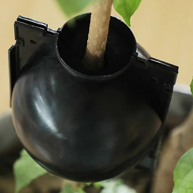 10pcs Plant Rooting Propagation Balls