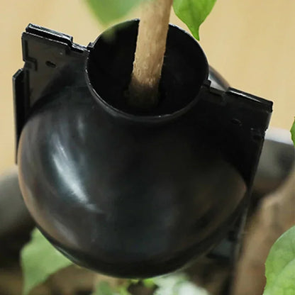 10pcs Plant Rooting Propagation Balls