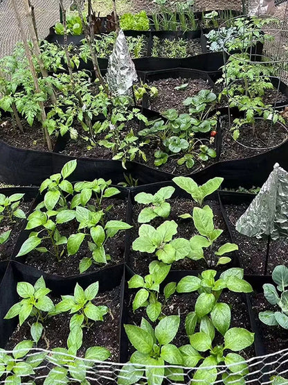 Rectangle Felt Garden Planting Grow Bag