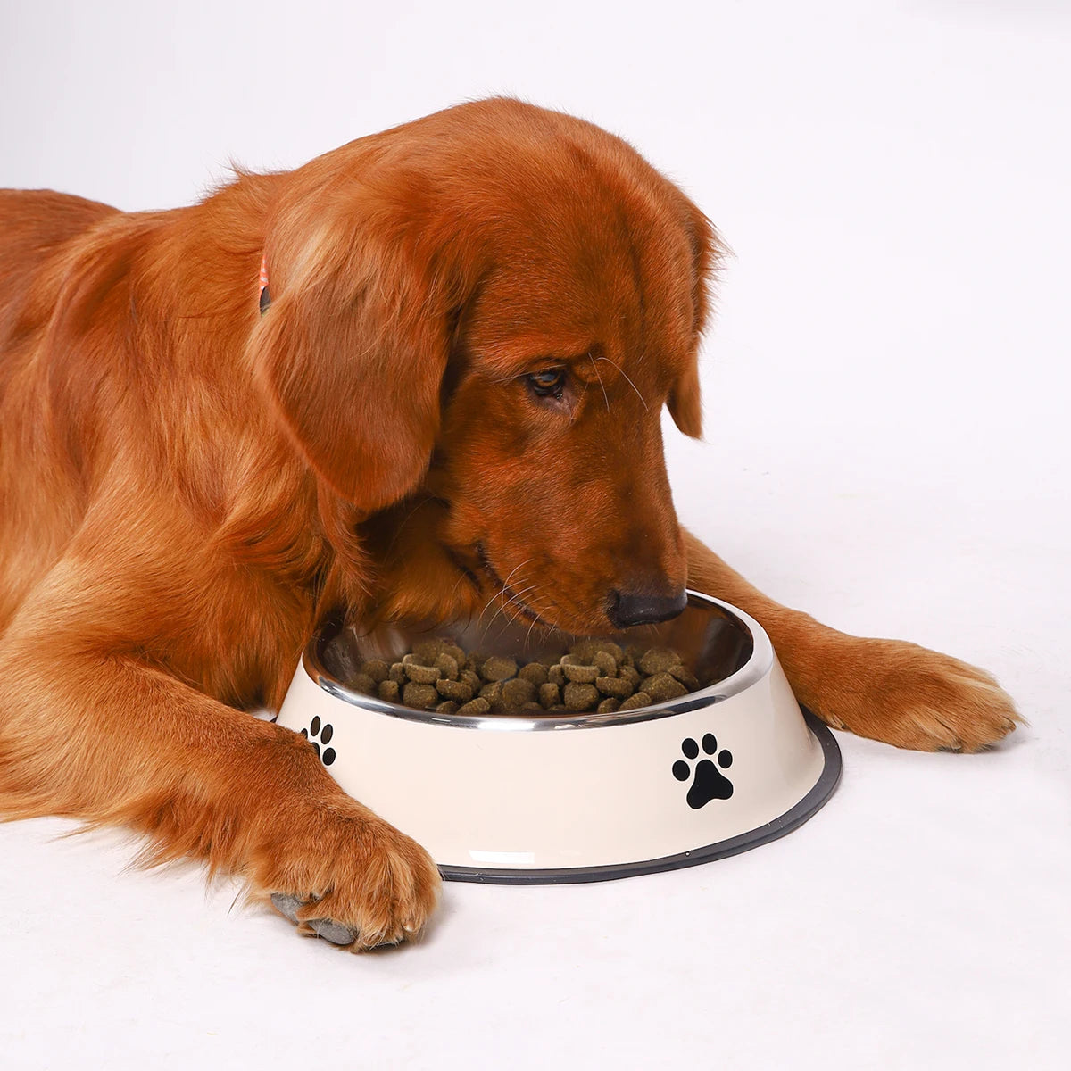 Stainless Steel Pet Food Bowl