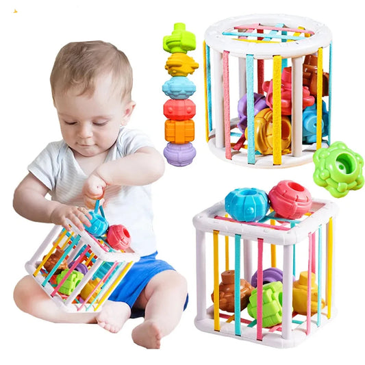 Montessori Colorful Shape Sorting Blocks