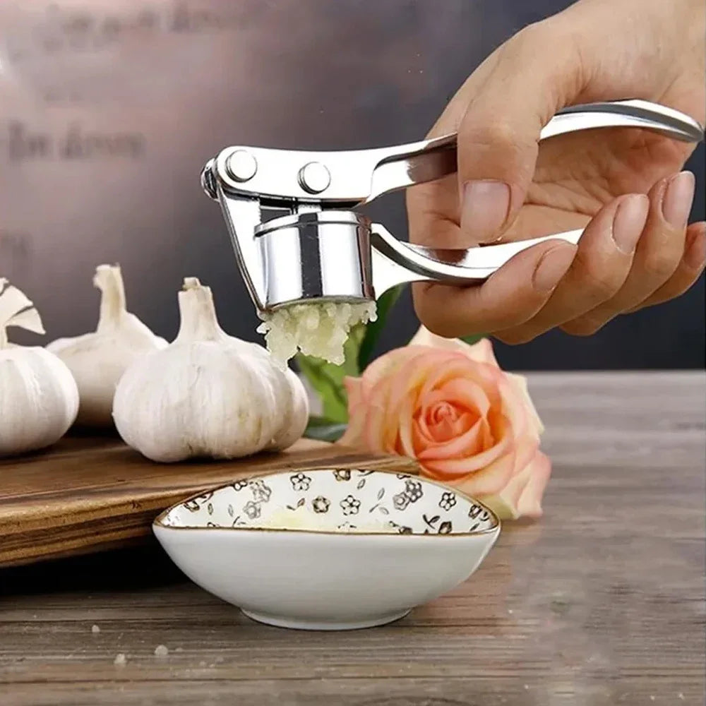 Stainless Steel Garlic Press Tool