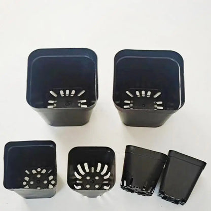 50pcs Square Plastic Planting Cups
