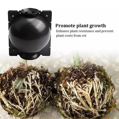 10pcs Plant Rooting Propagation Balls