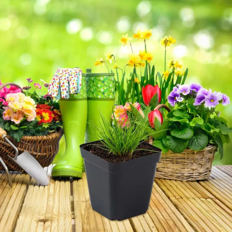 50pcs Square Plastic Planting Cups