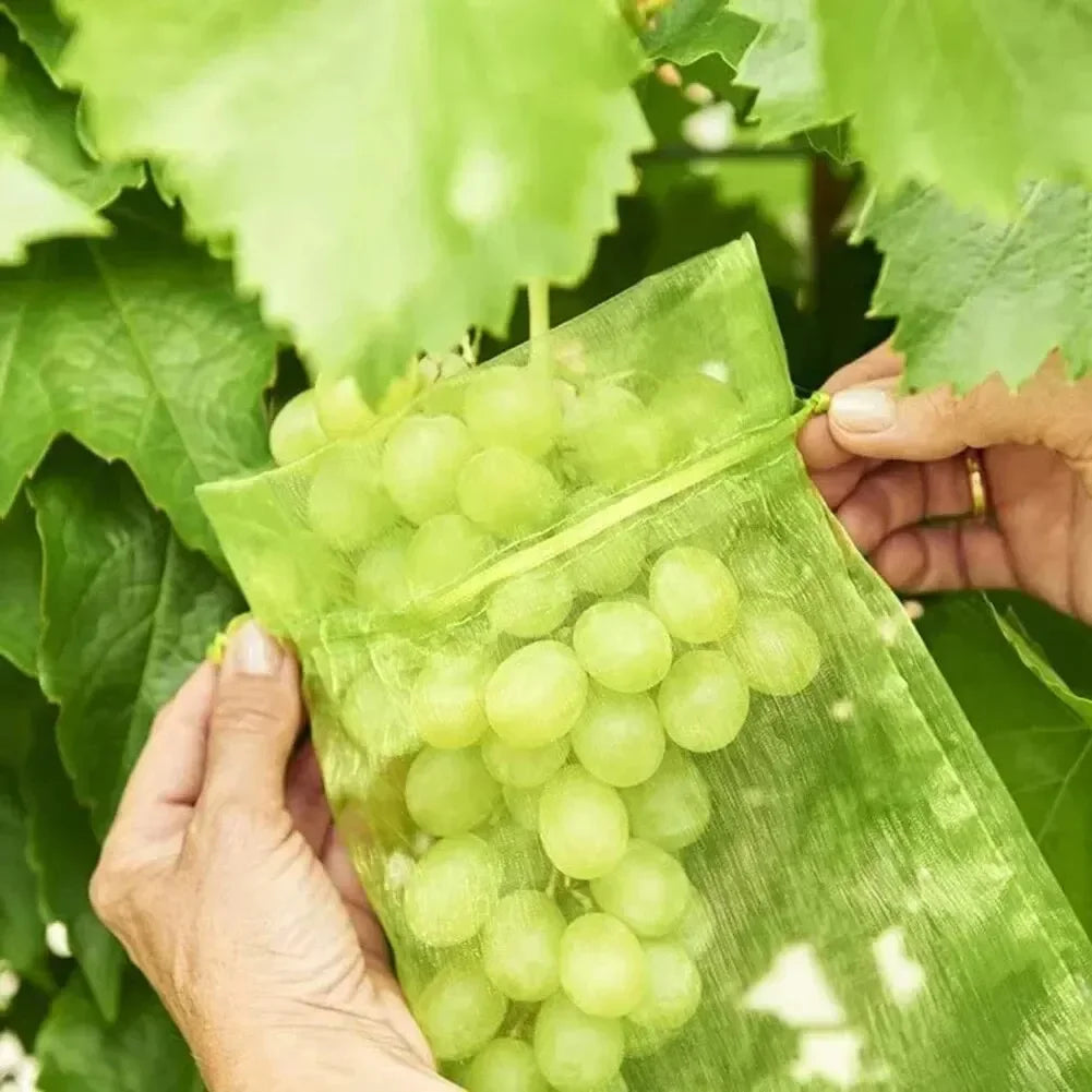 50pcs Fruit Protection Mesh Bags