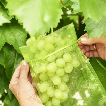 50pcs Fruit Protection Mesh Bags