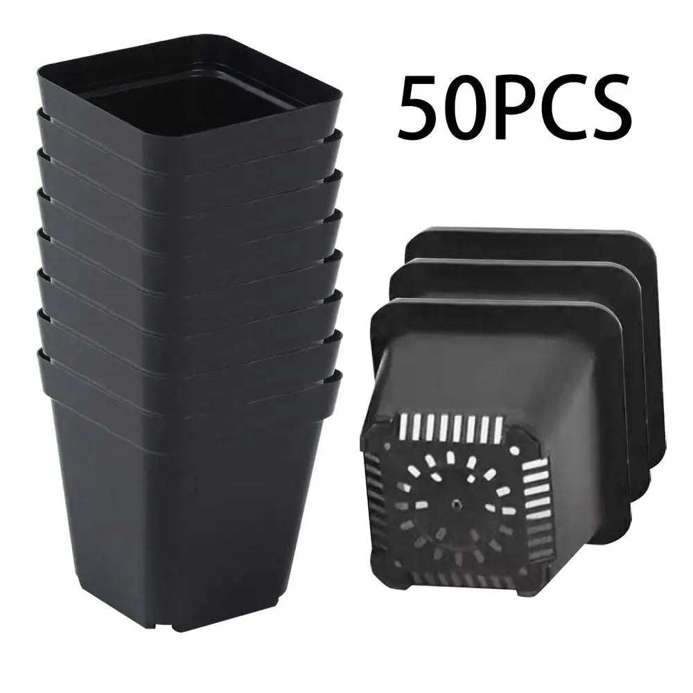 50pcs Square Plastic Planting Cups