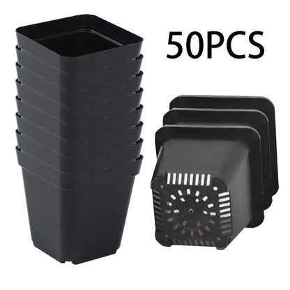 50pcs Square Plastic Planting Cups