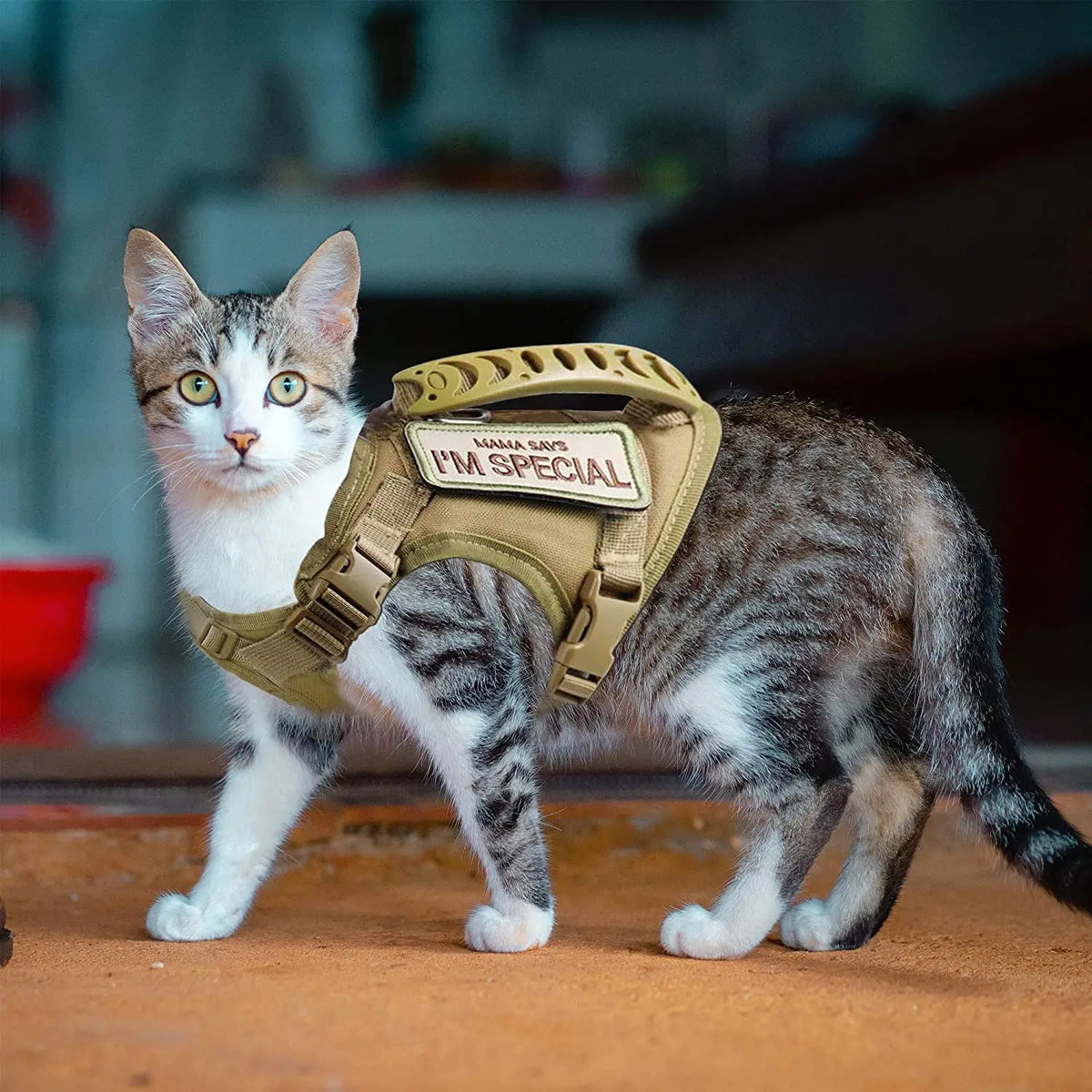 Tactical Adjustable Cat & Dog Harness