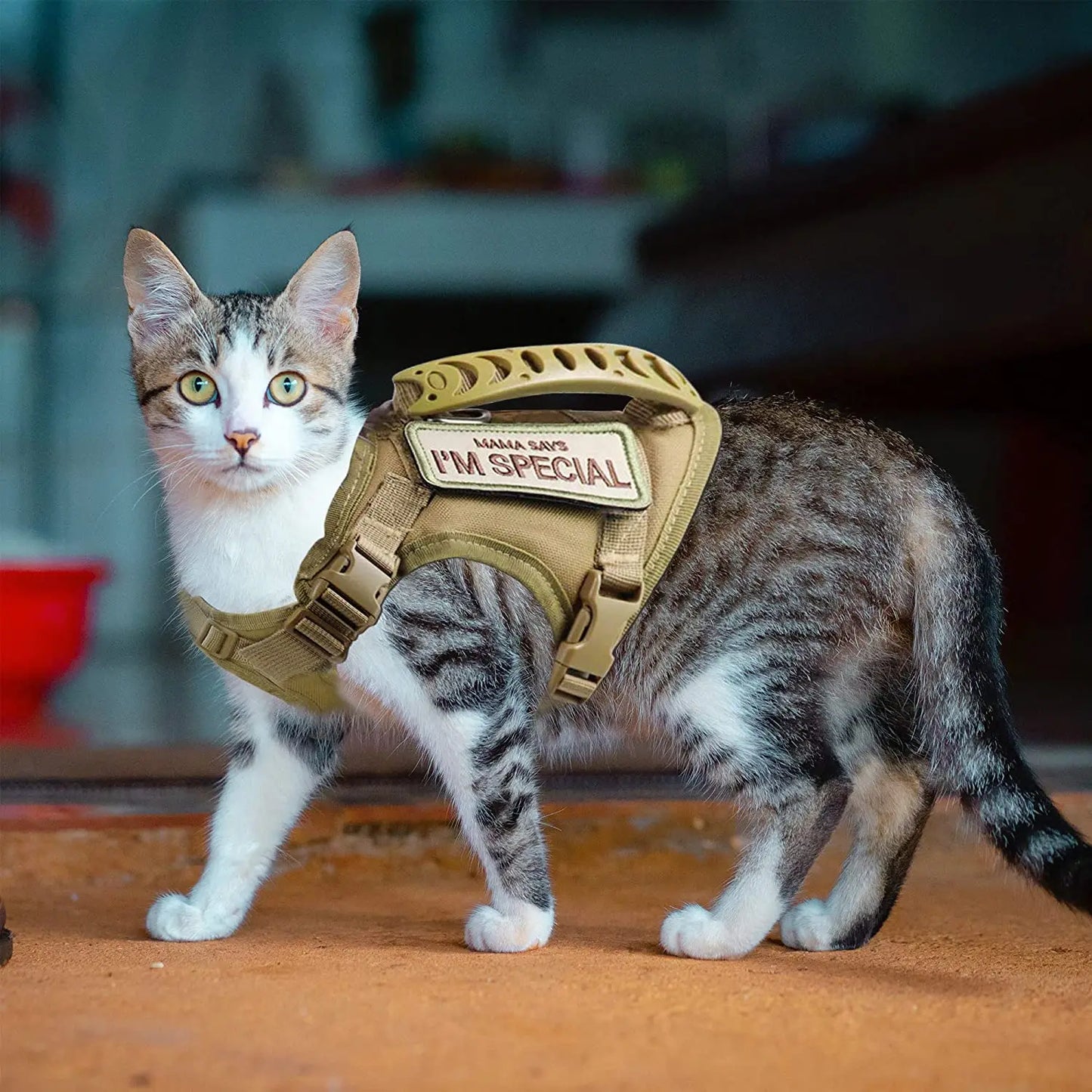 Tactical Adjustable Cat & Dog Harness
