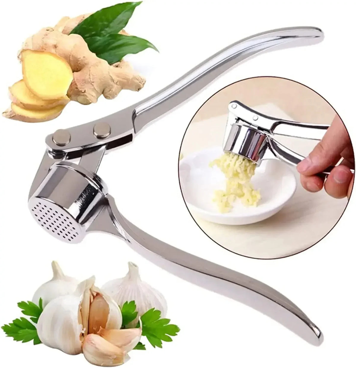 Stainless Steel Garlic Press Tool