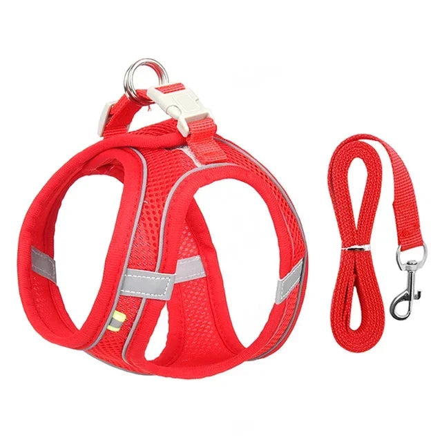 Adjustable Cat & Dog Harness Leash