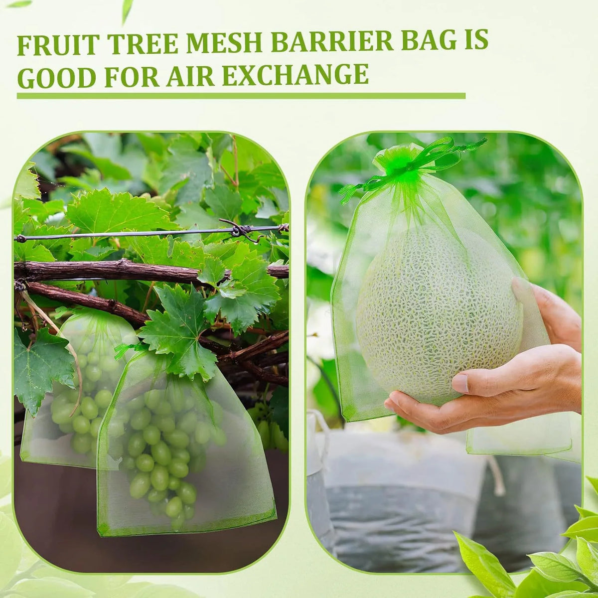 50pcs Fruit Protection Mesh Bags