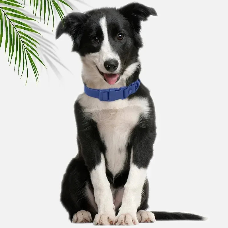 Macaron Colored Waterproof Dog Collar