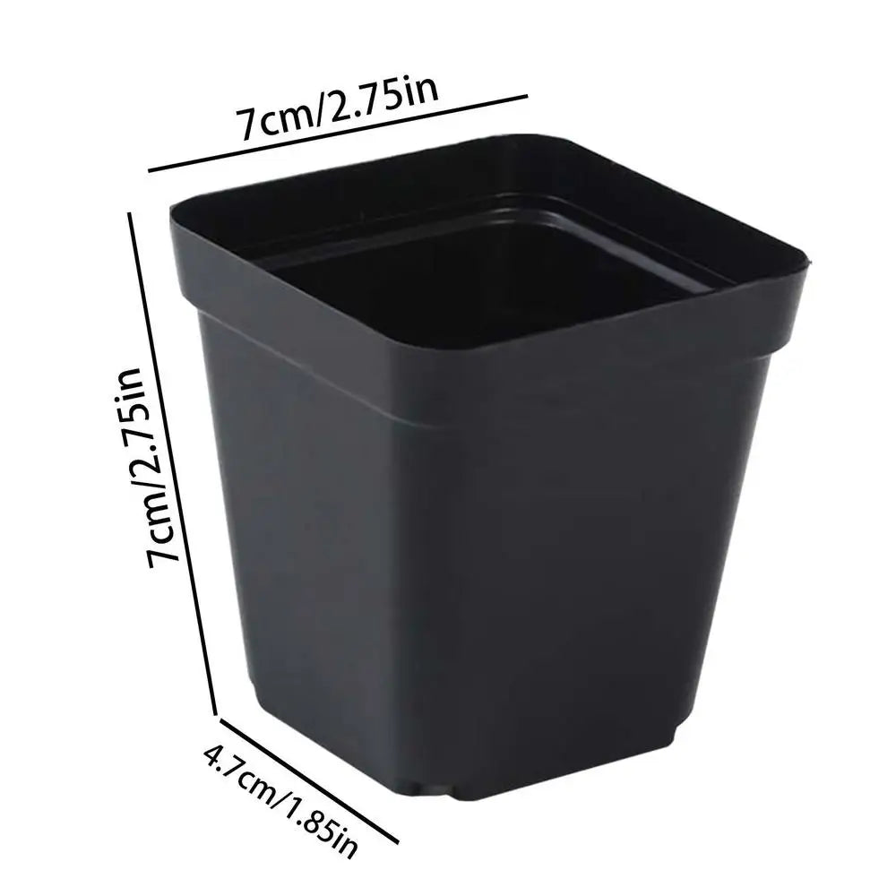 50pcs Square Plastic Planting Cups