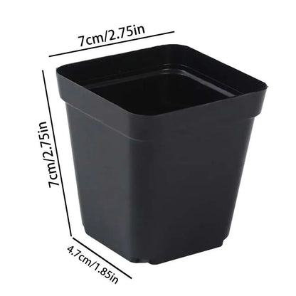 50pcs Square Plastic Planting Cups