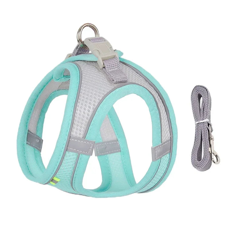 Adjustable Cat & Dog Harness Leash
