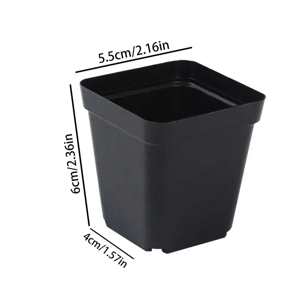 50pcs Square Plastic Planting Cups