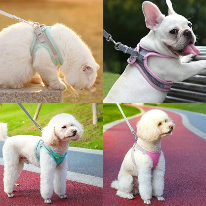 Adjustable Cat & Dog Harness Leash