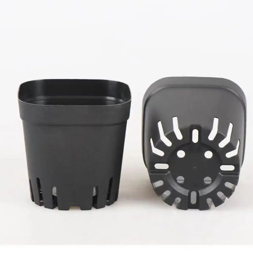 50pcs Square Plastic Planting Cups