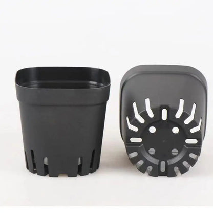 50pcs Square Plastic Planting Cups